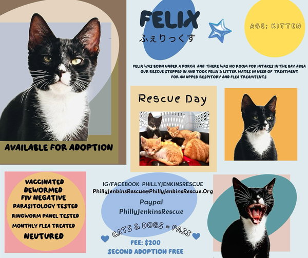 Felix