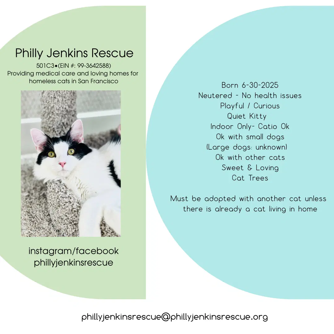Mew image 3