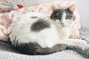 Isabella - Photo 1