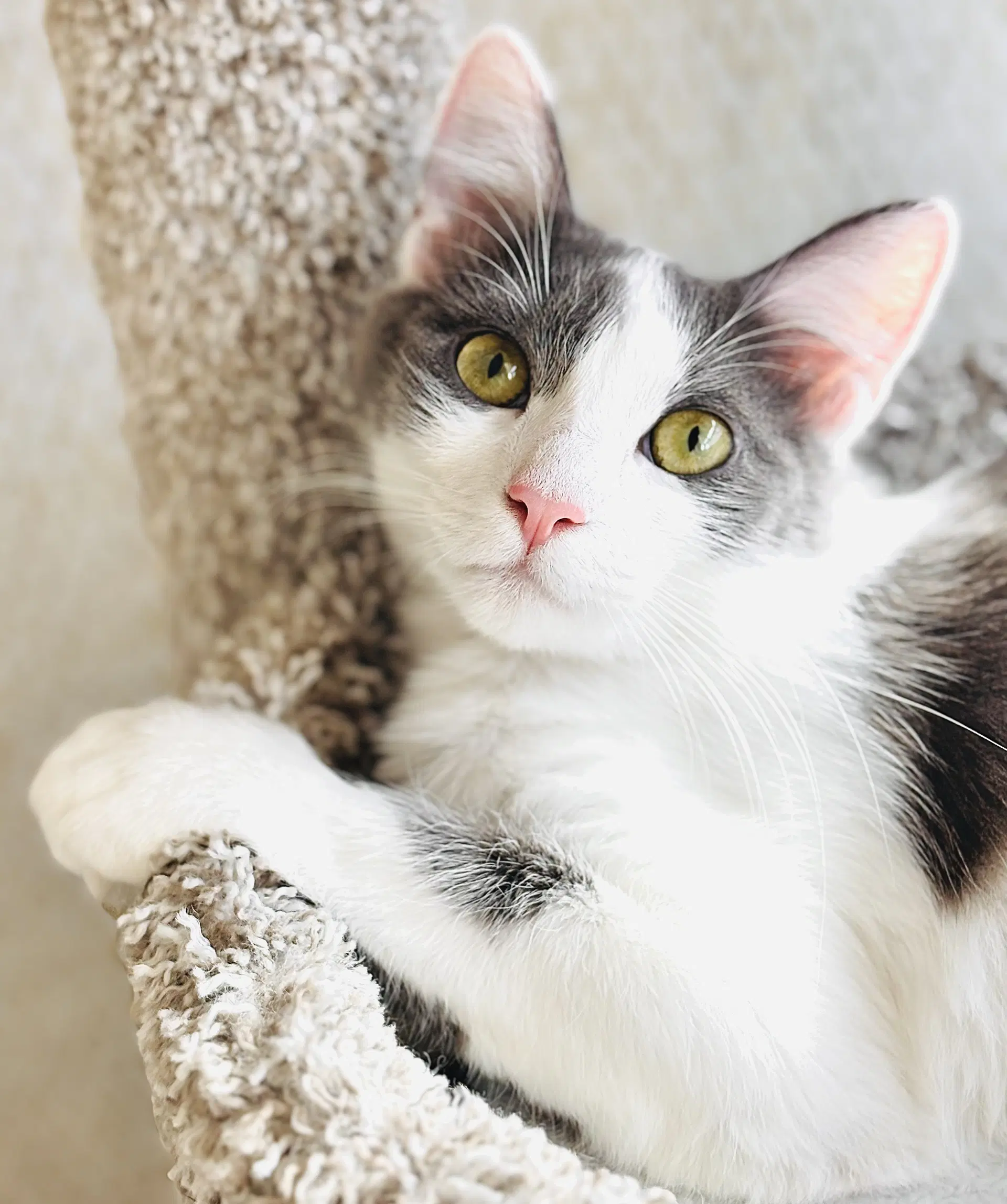 Delilah
