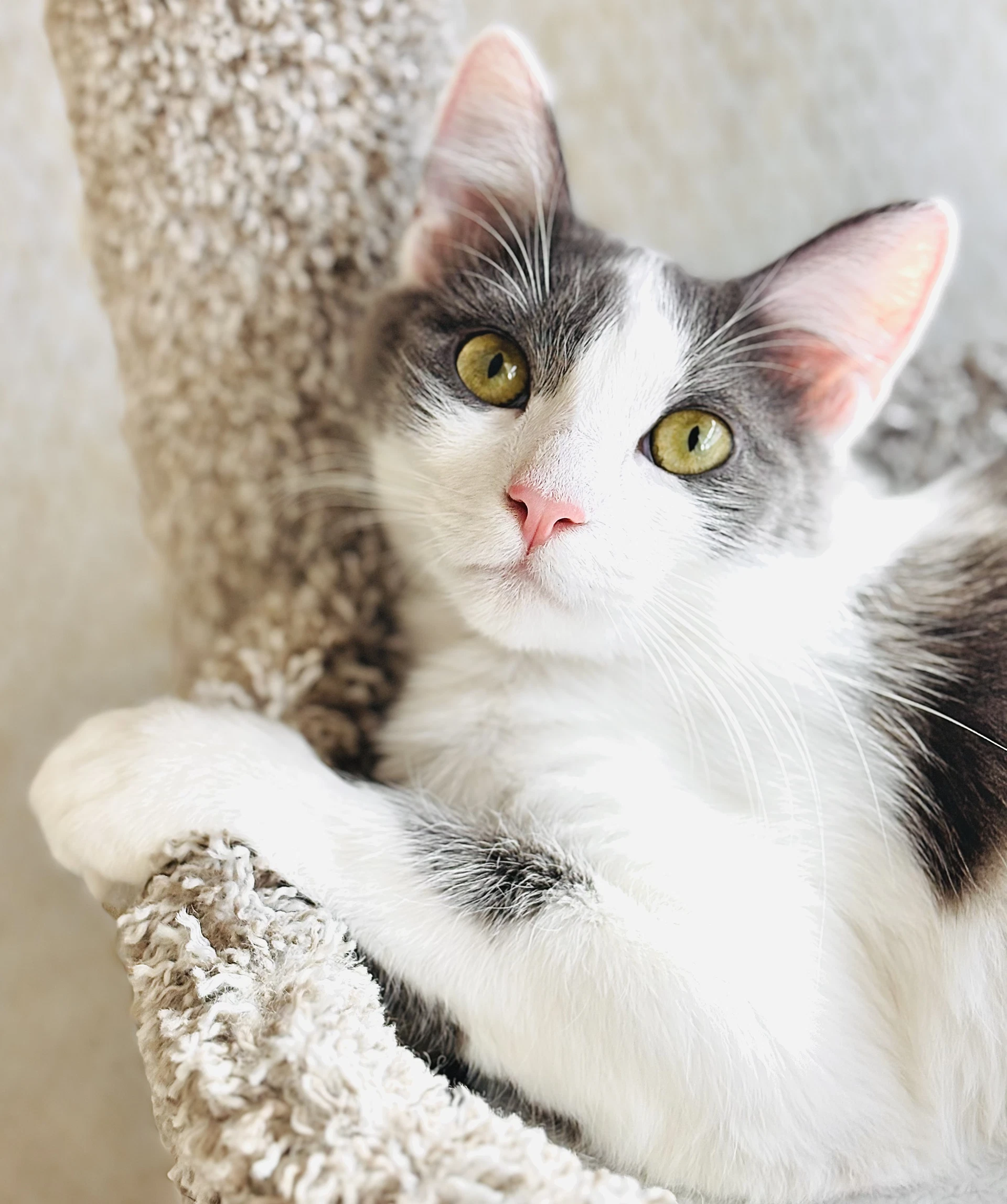 Delilah