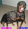 Bonnie and Clyde