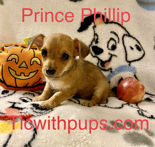 !!! Prince Phillip