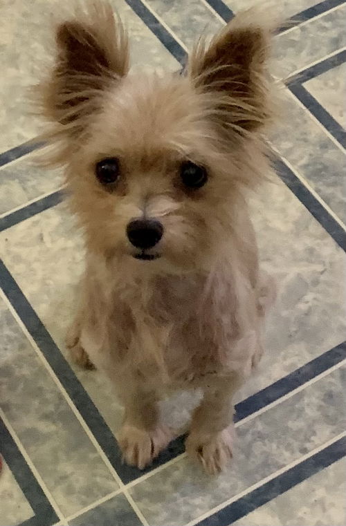 Coco