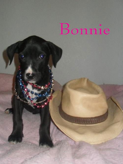BONNIE