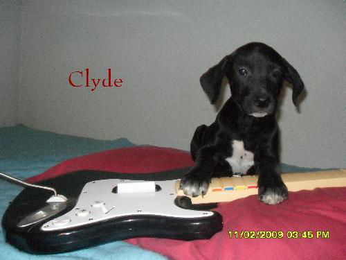 Clyde
