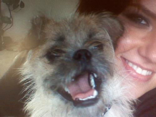 Cody