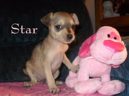 Star