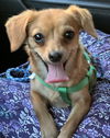 ! Chloe