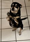 !  Minnie