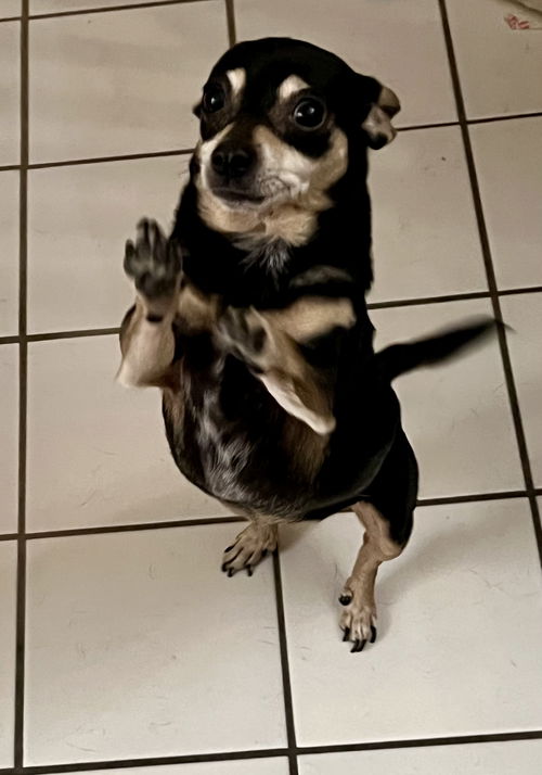 !  Minnie