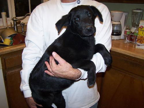 Blackie