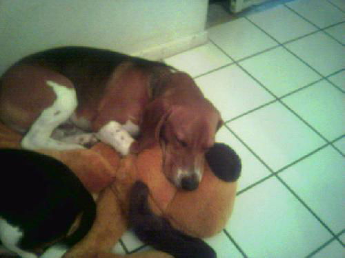 Shiloh