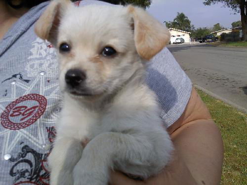 Sonny