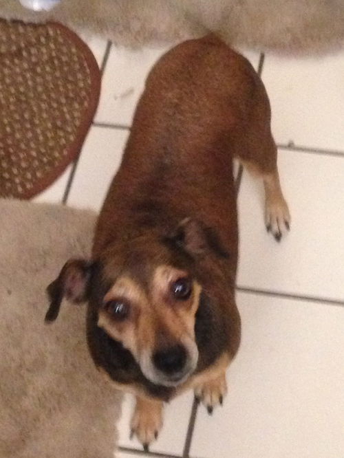 Coco