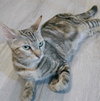 Misu - Photo 5