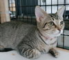 Precious - Photo 4