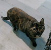 Olga - Photo 3