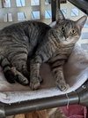 Freya - Photo 1