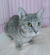 Freya - Photo 4