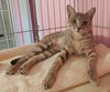 Freya - Photo 7