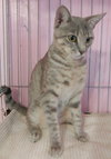 Freya - Photo 2