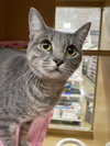 Freya - Photo 3