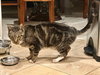 Calvin - Photo 3