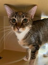 Dottie - Photo 5