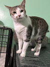 Suzi - Photo 4