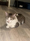 Suzi - Photo 5