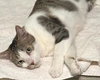 Suzi - Photo 6