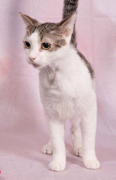 Lenny Image