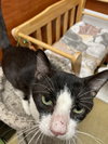 Seven - Photo 3