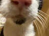 Seven - Photo 5