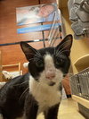 Seven - Photo 6