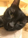 Raphael - Photo 5