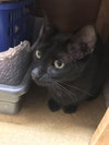 Daisy May - Photo 5