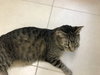 Jack - Photo 2