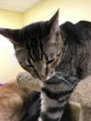 Spot - Photo 2