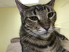 Spot - Photo 5