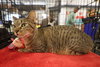 Munchie - Photo 2