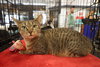 Munchie - Photo 4