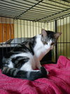 Doris aka Kiomi - Photo 2