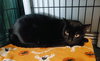 Stormy - Photo 1
