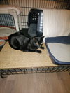 Stormy - Photo 2