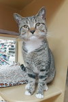 Oliver - Photo 1