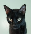 Little Ricky - Photo 1