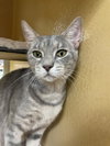 Lulu Belle - Photo 2
