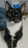 Mischief - Photo 1